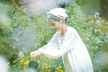 花园里照料花朵浇水的老奶奶图片