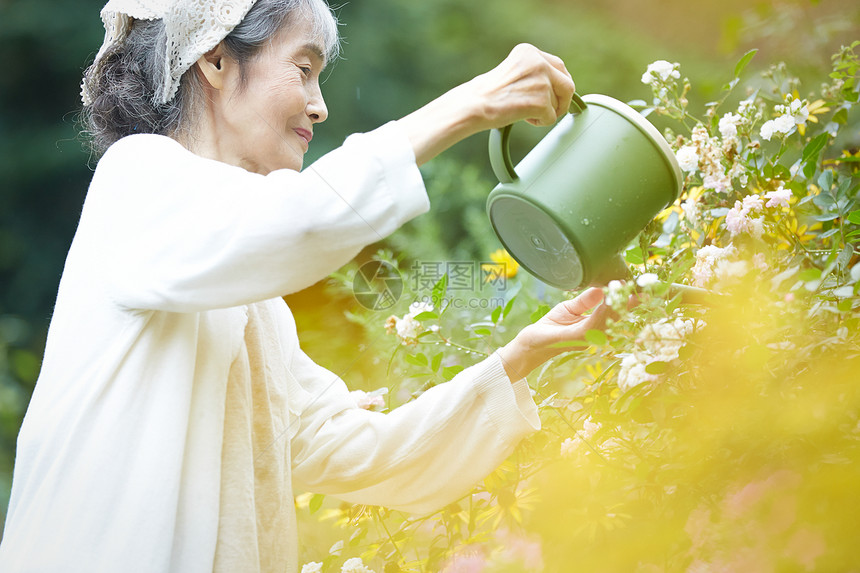 老年妇女在庭院里浇水图片