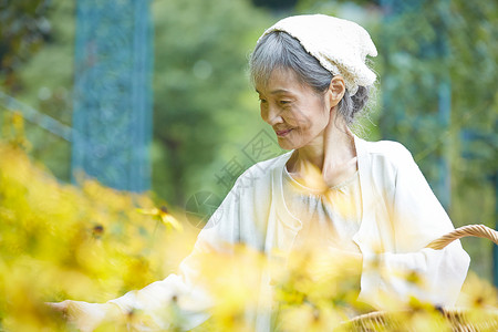 在庭院里采摘花的老年妇女图片
