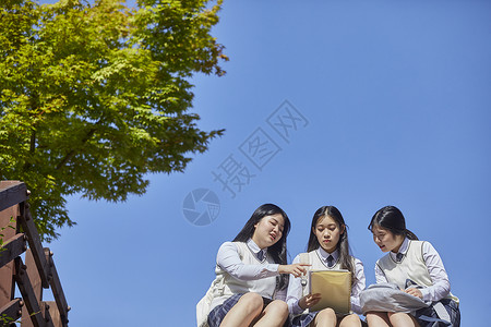 高中生校园内看书学习背景图片