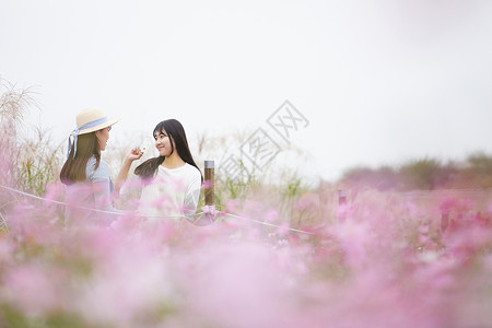 花圃里的少女图片