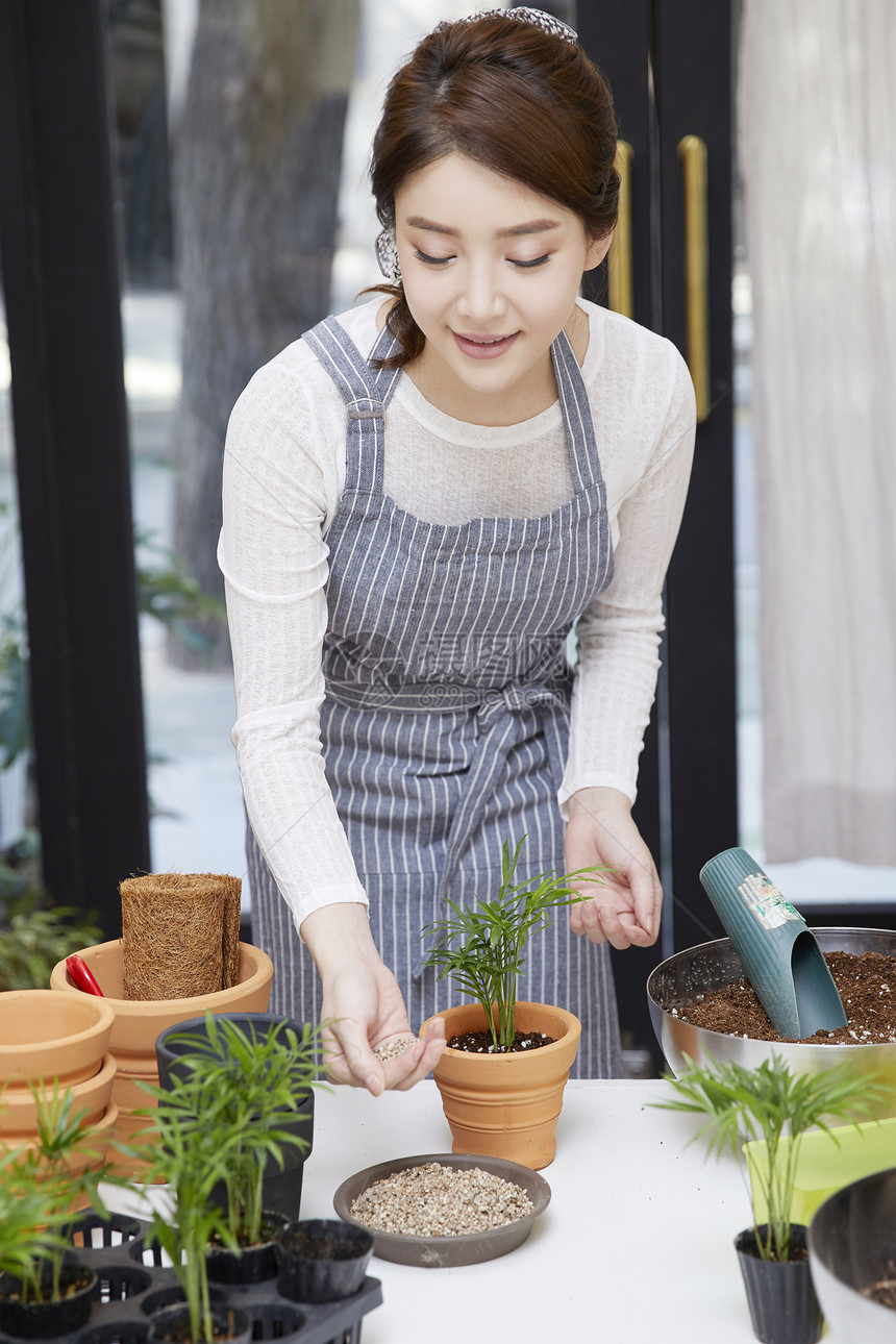 花店里栽培植物盆栽的青年女性图片