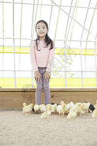 大图的缩小祝福语饲养家畜的摊位孩子女孩经验小鸭子鸭子图片