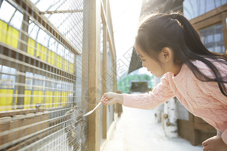 小学生女生孩子女孩松鼠图片