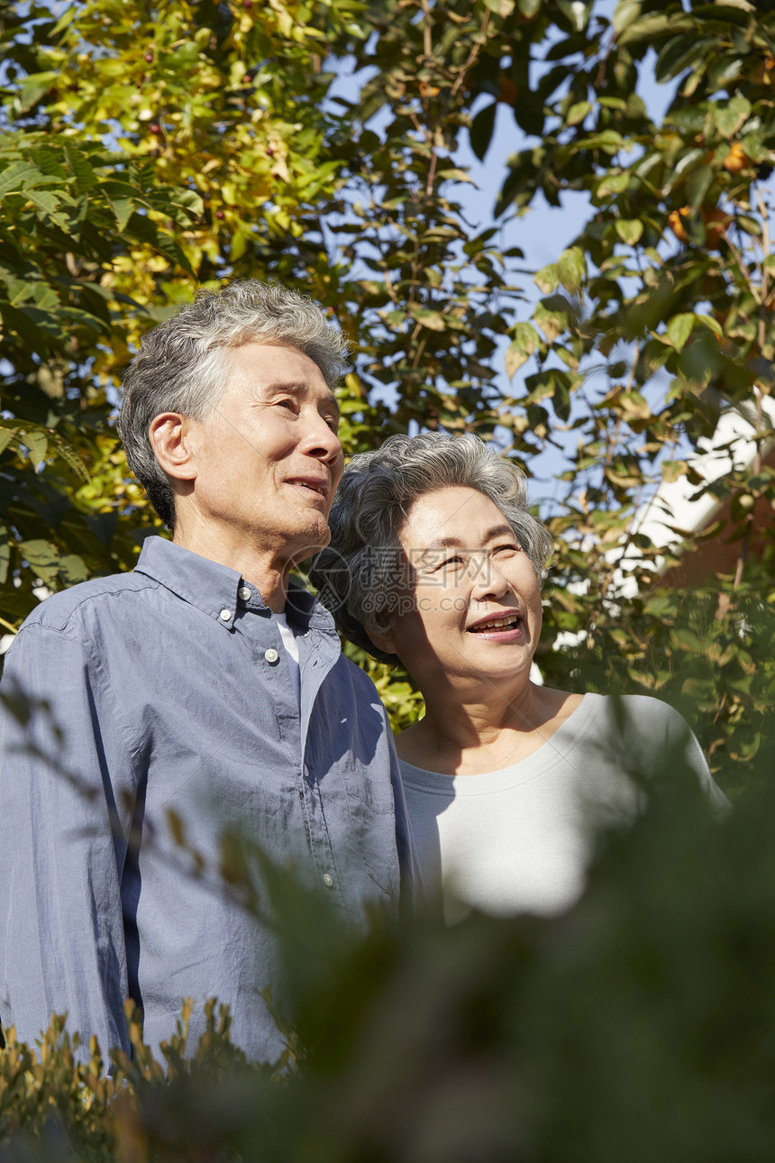 老夫妇丈散步家庭花园图片