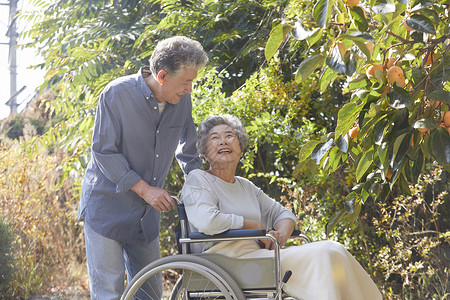 老年夫妻的幸福快乐生活树高清图片素材