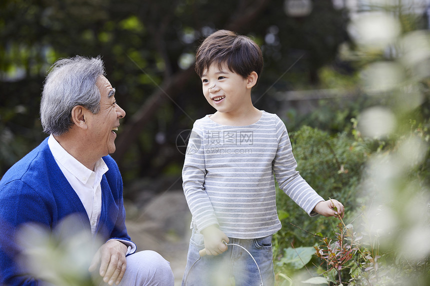 院子爷爷孙子在一起幸福做园艺图片