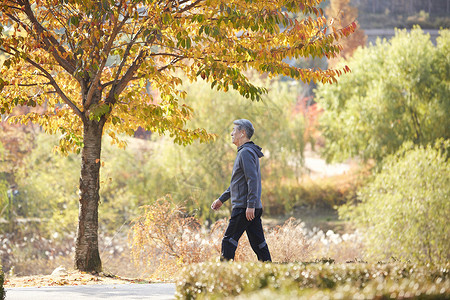 秋季户外放松的老人运动高清图片素材