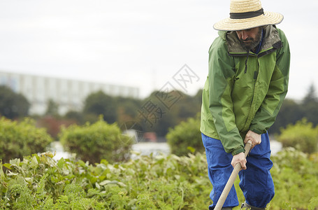 体验农耕的外国人职业高清图片素材