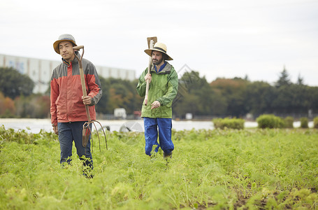 外国人体验农业种植器械高清图片素材