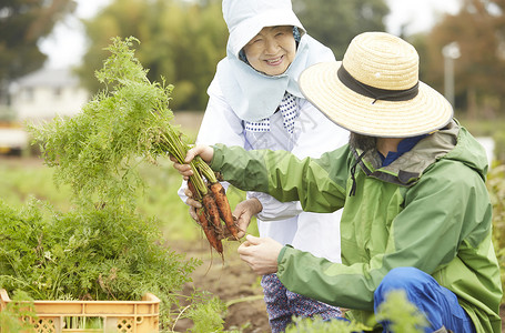 外国人体验种植生活图片