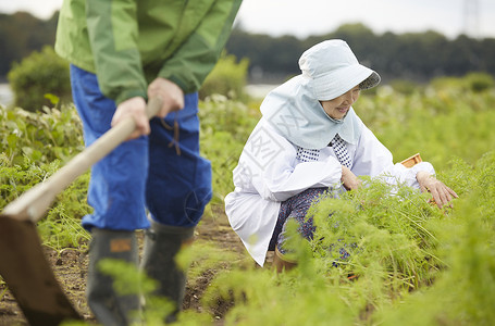 外国人体验种植生活图片素材