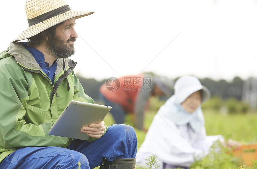 农田地里研究的外籍人士图片