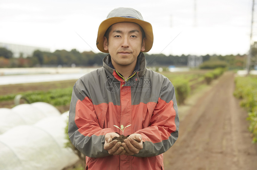 下种田地植物与农业幼木的男图片