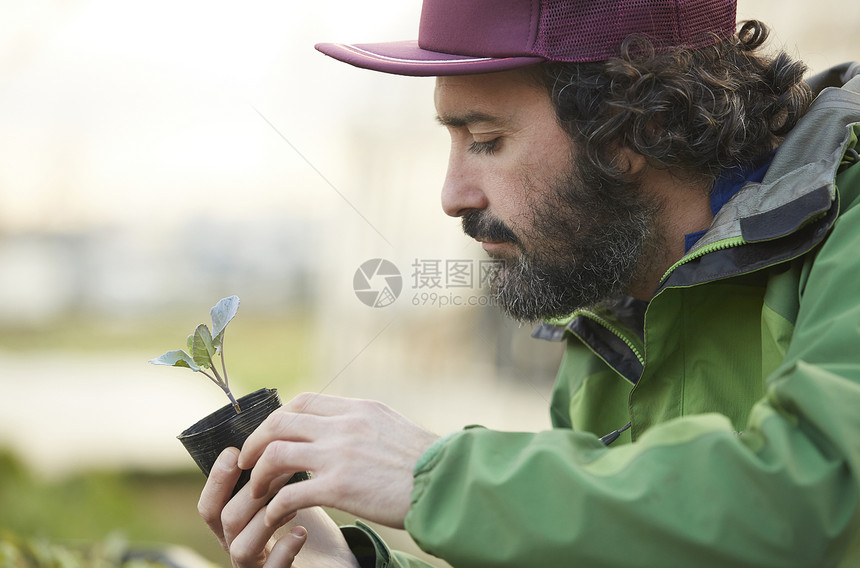 在农田工作的人图片