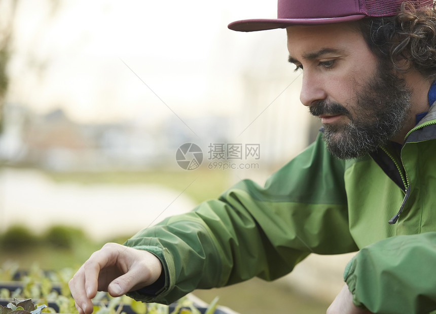 在农田工作的人图片