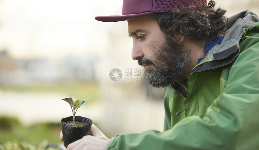 在农田工作的人图片