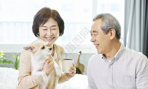 老年夫妇与宠物图片