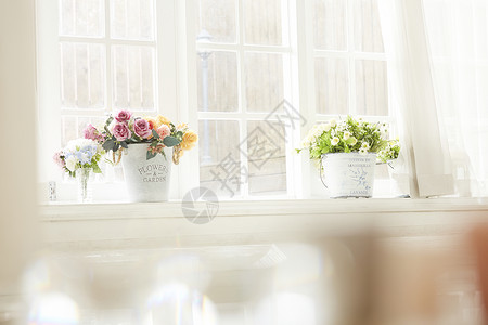 格子窗窗边的花盆背景