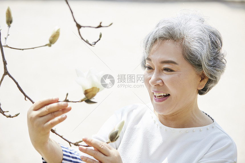 户外的生活植物老妇人春花图片