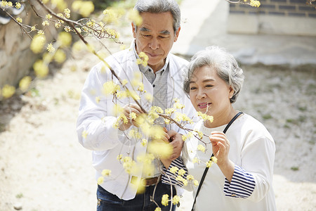 强烈的感情成人清静生活老夫妇丈夫妻子在一起图片