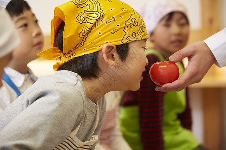 学费碟幼儿园儿童儿童工作坊菜图片