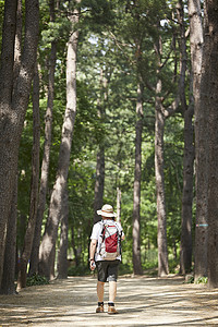 男性户外徒步登山背影图片