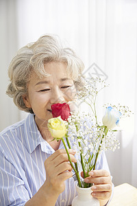 gypsophila神谕非常小生活女人老人韩国人图片