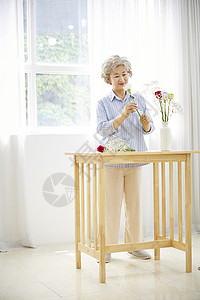 电报窗在内生活女人老人韩国人图片