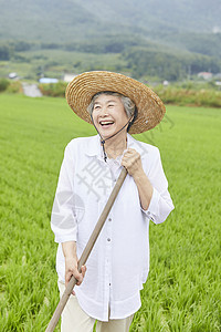 老妇人下农田干农活图片