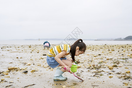 在海边捡石子的小孩假期高清图片素材