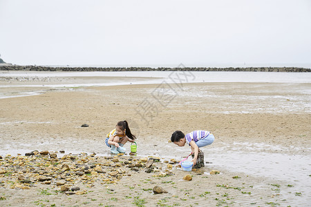 在海边捡蛤的小孩朋友高清图片素材