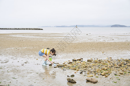 在海边捡蛤的小孩桶高清图片素材