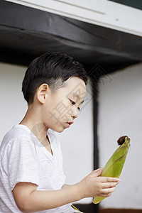 选择聚焦近距离长途行走生活玉米韩国图片