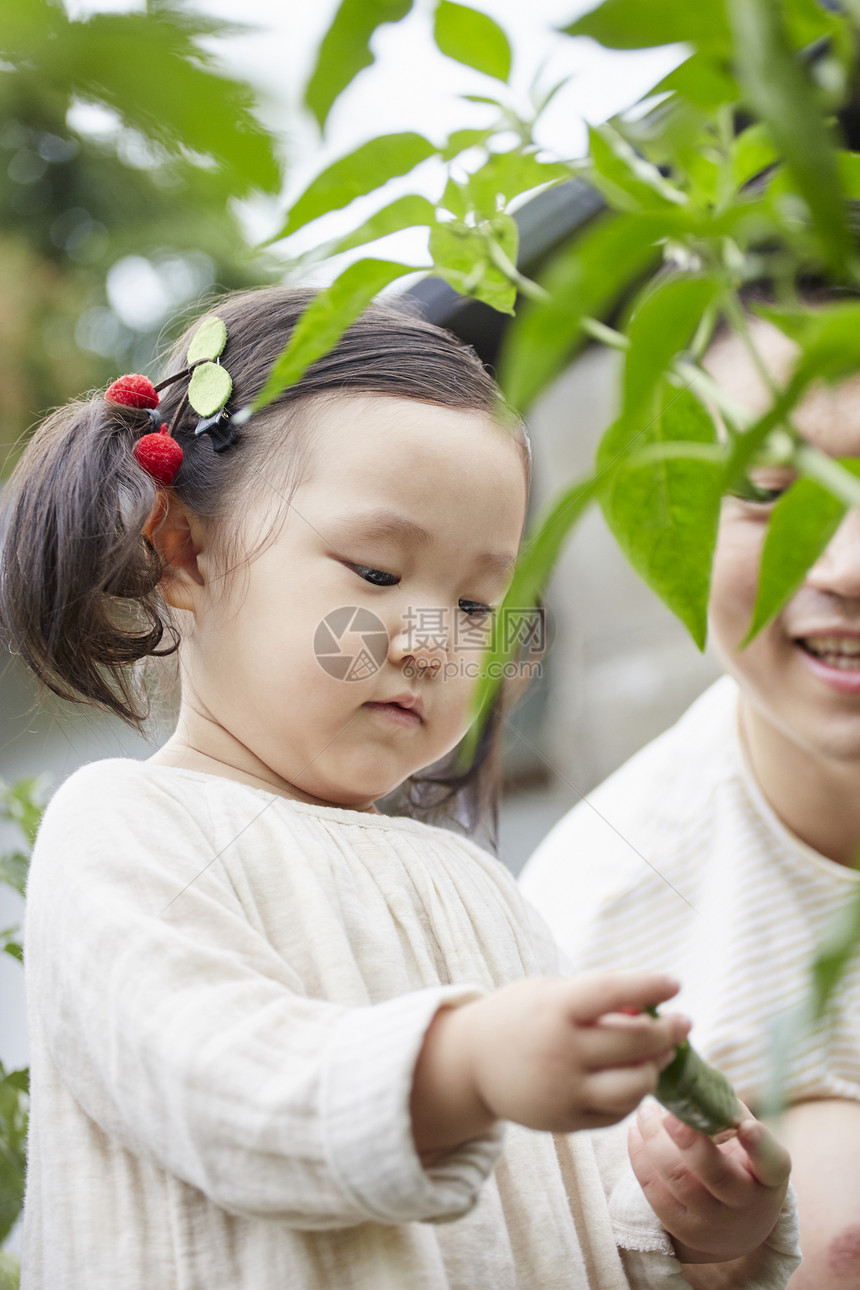 假期成年女子户外的花园体验式学习韩语图片