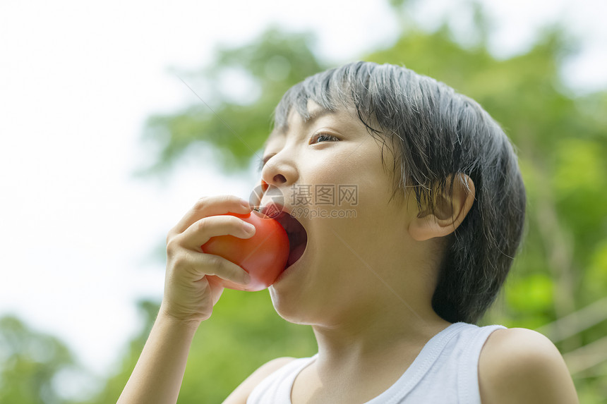 室外男孩在吃西红柿图片