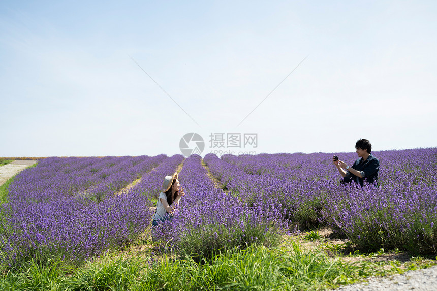 旅游业风景名胜两个人花田和夫妇图片