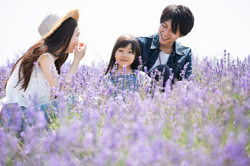 初夏旅行花田的幸福一家人图片