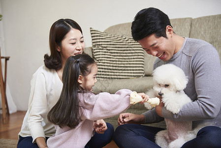 室内养宠物温馨幸福的一家人背景图片