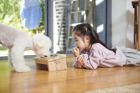 动物窗聚酯食品包装材料小狗女孩韩国人图片