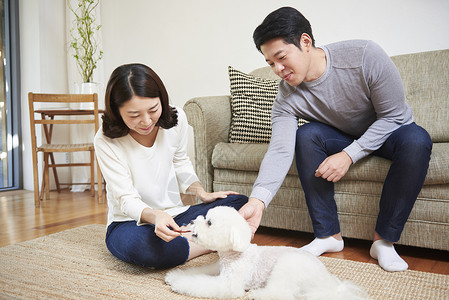 夫妻在喂宠物狗食物图片