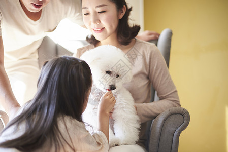 女儿在给宠物狗狗喂食图片