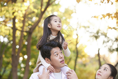 一家人在公园享受秋天美景图片