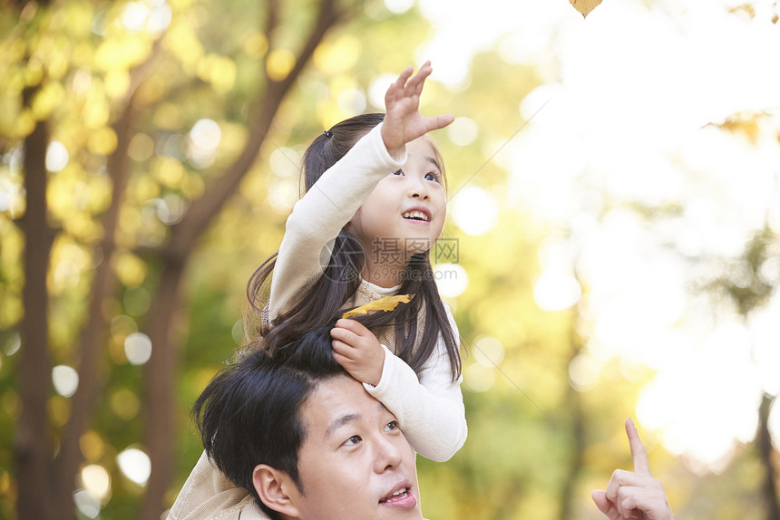 一家人在公园秋游图片