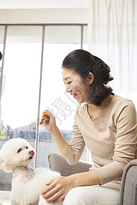 在内客厅30岁生活女人成年人狗韩国人图片