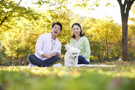 宠物幸福体贴家庭夫妻韩国人图片