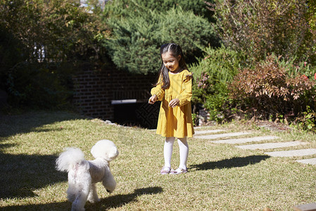 快乐宠物瓦因小狗女孩韩国人图片