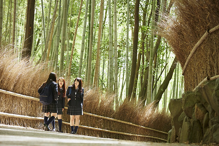 三个高中女生们站在竹林外聊天图片