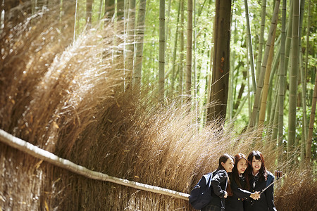三个高中女生站在竹林小径边自拍高清图片