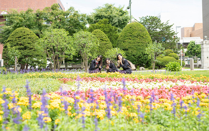 女士积极朋友女学生札幌学校旅行札幌市博物馆图片